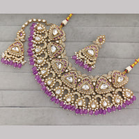 Rajwadi Collection Premium Pota Stone And Pearl Necklace Set