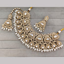 Rajwadi Collection Premium Pota Stone And Pearl Necklace Set