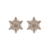 Urthn Cubic Zirconia Stone Classic Stud Earrings