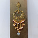 Dariyalal Sales Gold Plated Dangler Earrings
