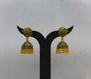 Dariyalal Sales Royal Pearl Ethnic Jhumki Earrings (Pack of 12 & 24)