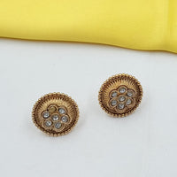 NAFJ Elegant Pota Stone Stud Earrings