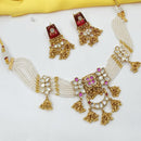 NAFJ Premium Pota Stone And Pearl Necklace Set