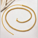 NAFJ Gold Plated Austrian Stone Kamarbandh