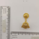 Urthn Timeless Gold Plated Jhumki Earrings | Elegant Traditional Jewellery for Weddings & Festive Occasions( Pack of 6)