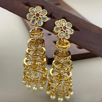 Sona Covering Traditional Pota Stone And Pearl Jhumki Earrings
