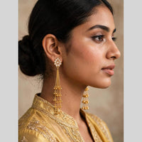 Dhirish International Classic Pota Stone And Pearl Kashmiri Dangler Earrings