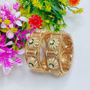 Tanish Art Jewellery Elegant Pota Stone Bangles Set for Women