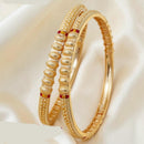 Tanish Art Jewellery Luxury Meenakari Bangles Set