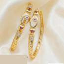 Tanish Art Jewellery Graceful Austrian Stone Bangles Set
