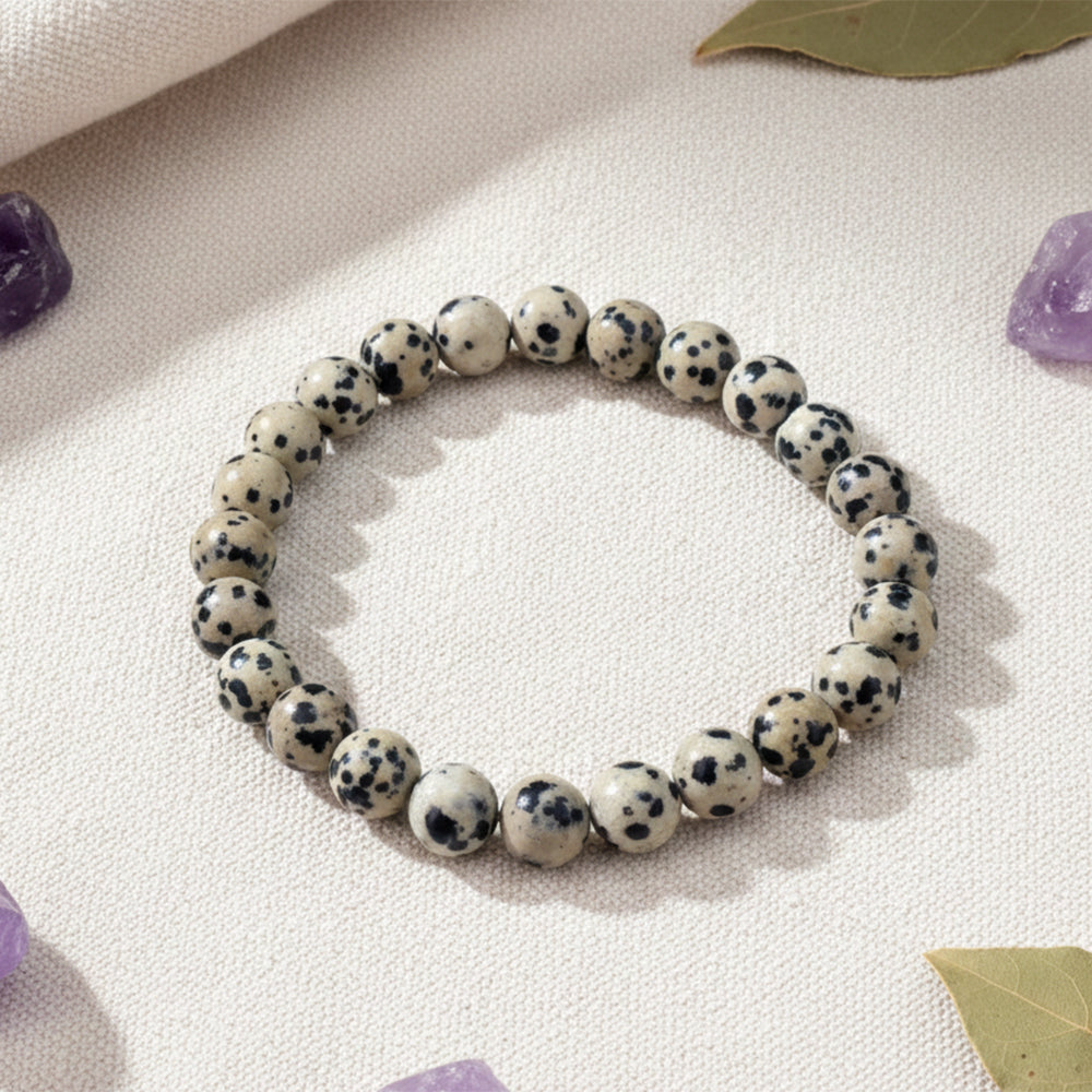 Urthn Dalmatian Jasper Natural Stone Bracelet(Pack of 3)