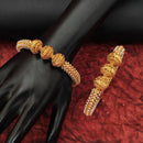 Js Fashion  High Gold Designer Fancy Design Party wear Beautiful Bangle Set