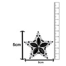 Mahi Black and White Shiny Crystals Studded Twinkling Star Brooch Saree Pin for Women (BP1101175RBla)