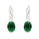 Etnico Silver Plated Oval-Cut Lever back Drop Small Fancy Earrings For Women