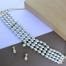 Etnico Gold Plated Traditional Pearl Beaded Stylish Moti Choker Necklace Jewellery Set with Earrings for women (ML314W)