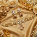 Js Fashion  Antique Clustered Pearl High Gold Polish Full Stone Party Wear Necklace Set