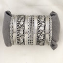Shree Asha Bangles Oxidised Plated Bangles Set