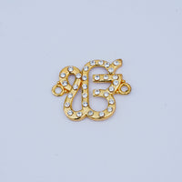 Parshwa Rakhi Charms for Jewellery, Bracelet / Pendant And Rakhi Making , And DIY
