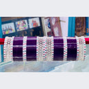 Pooja Bangles Acrylic Bangles Set