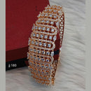 Jain Jewellers AD Stone Kada