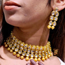 FS Collection Gold Plated Kundan Stone Choker Necklace Set
