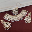 FS Collection Gold Plated Austrian Stone Choker Necklace Set