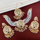 FS Collection Gold Plated Austrian Stone Choker Necklace Set