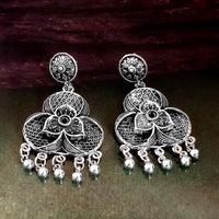 Woma Silver Plated Dangler Earrings  - 1318314