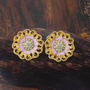 Adi Gold Plated Red Meenakari And Austrian Stone Stud Earrings  -  1319253A