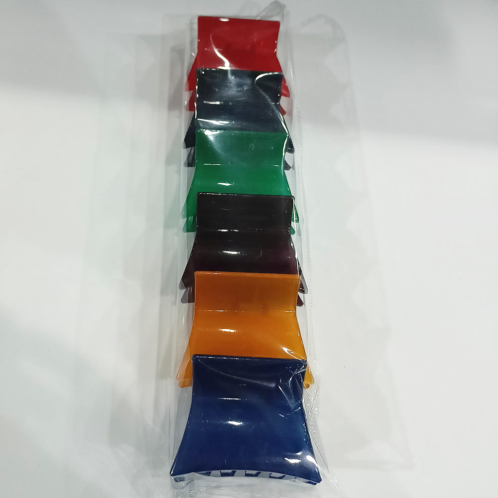 Eugenia Assorted Color Pack Of 6 Fancy Hair Clip