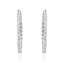 Nipura Studded Zircon Round Hoop earrings